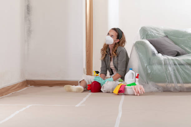 Reliable Mold Cleanup contractor in River Edge, NJ by WQB Mold Removal